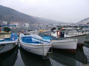 DSCF4795