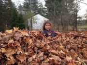 IMG 7884