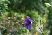 DSC02037