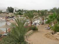   !  2007
