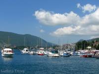 IMG 4779  - - 2008