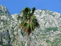 IMG 4843  - - 2008