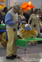 DSC 0234m