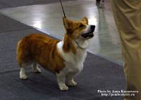 DSC 0276m