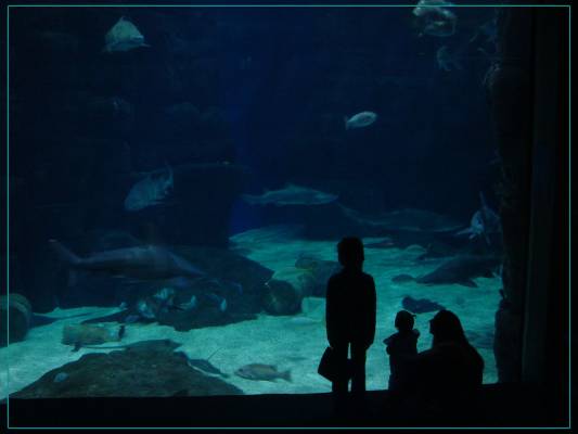 Aquarium. Virginia  Beach