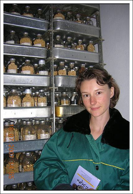 ����� � ��������