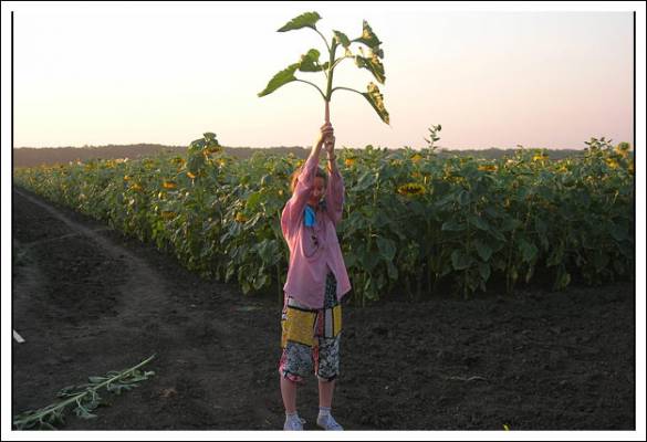 ����������