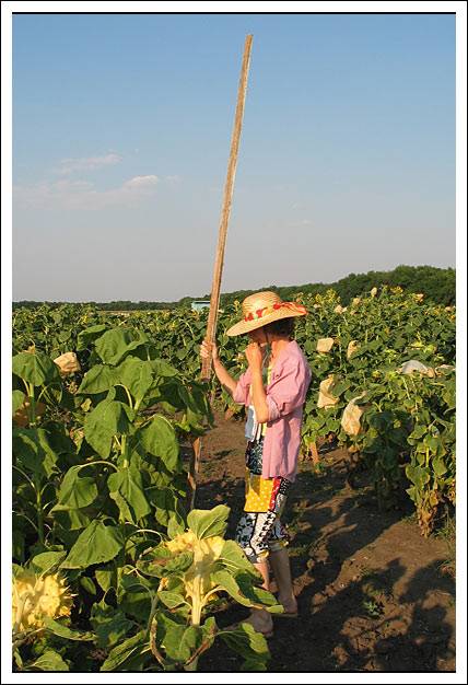 ���� ��������?..