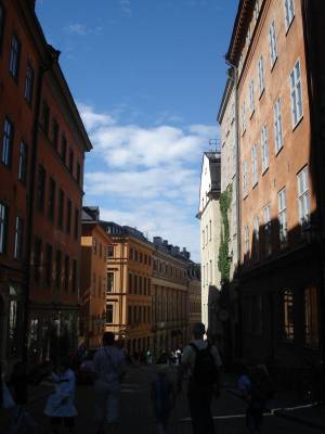 ������ �����