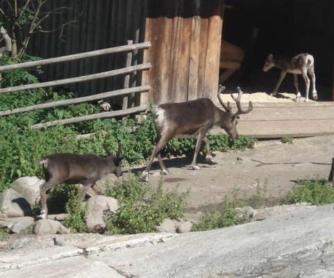 �������� �����:)