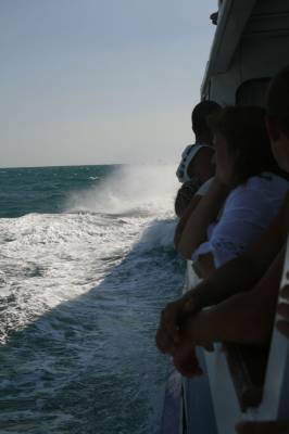  /see trip