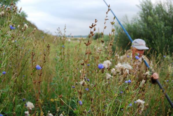 �� �������