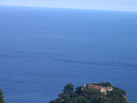 ���� ����....