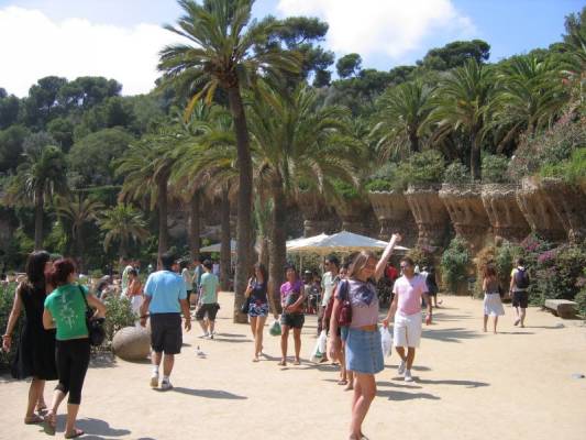 ���� �����