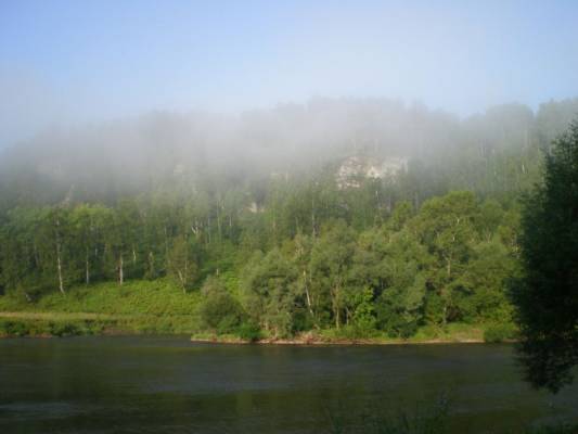 fog in the morning