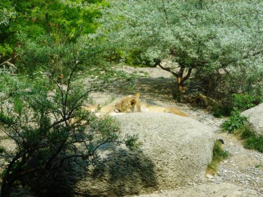 Basel Zoo