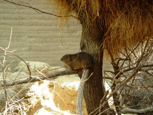 Basel Zoo