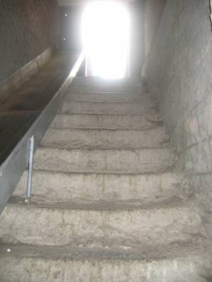 ����� ����