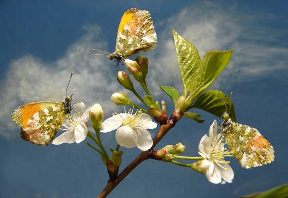 http://www.photohost.ru/t/600/400/313929.jpg