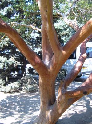 ��������� ������