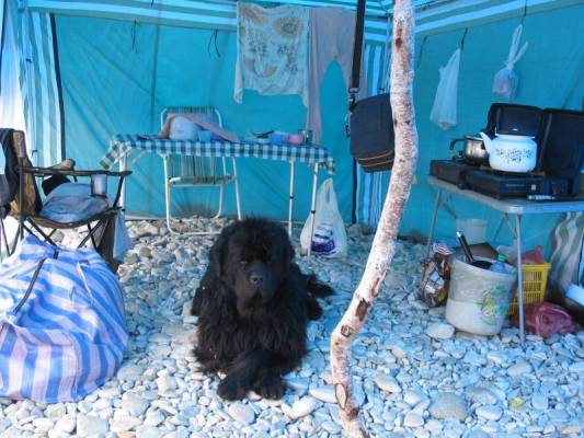 � �� ���� � �������