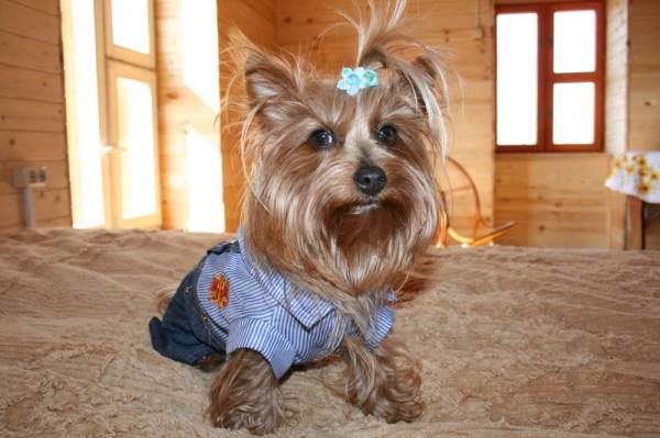 �� �����