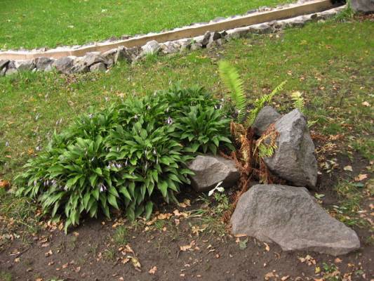 ��������� (5)