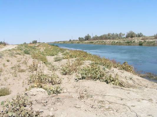 ����� ������ �������