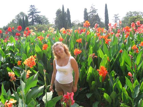 � ������ -�� - ��