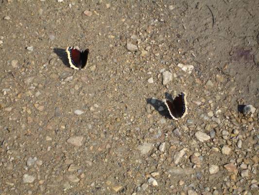 �������)