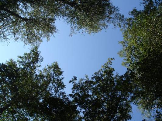 ������ �� ���...