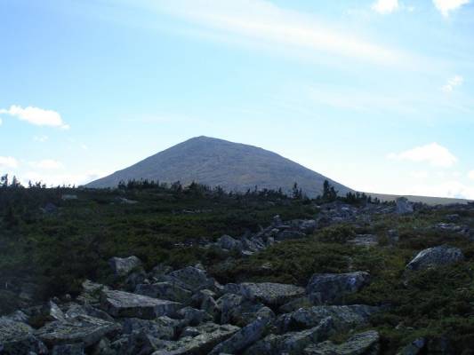 ��� ������!