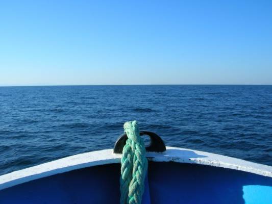 ������ �����