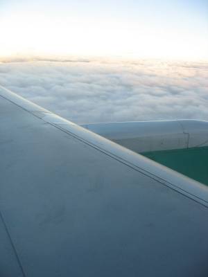 ������� ��� �����������