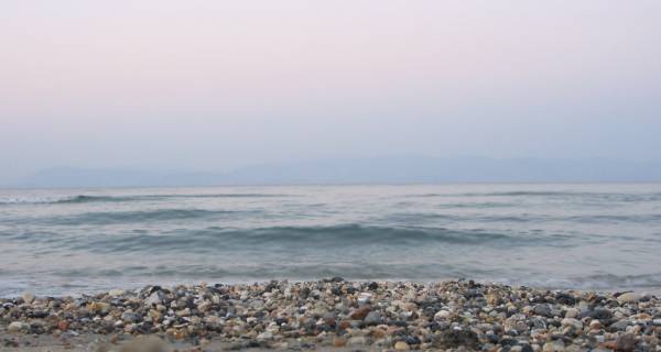  ���������� ���� ��������