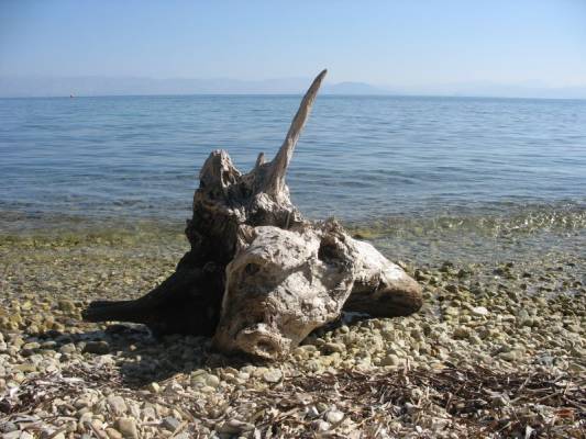 �� ������