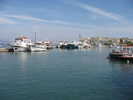 ������ ����