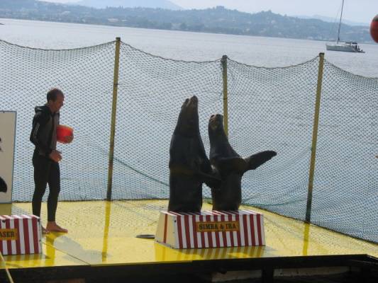 ������������....