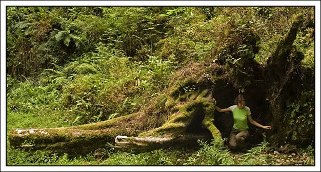 ����� ��� ����