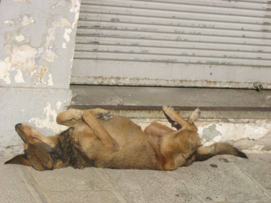 ����� ������� �� ������