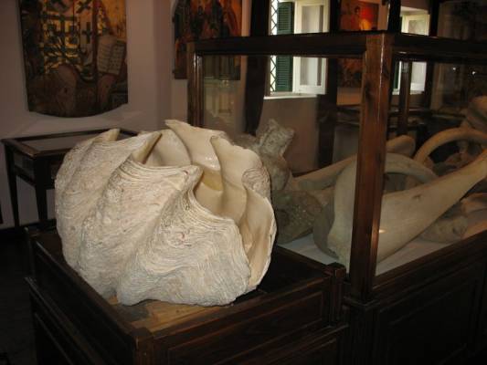 �������� �������