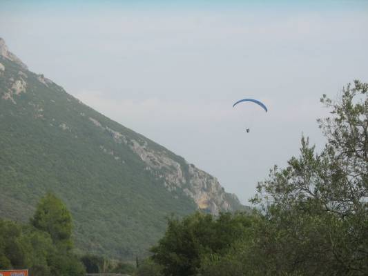 ������....