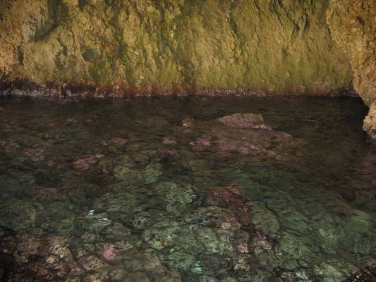 ������� �������