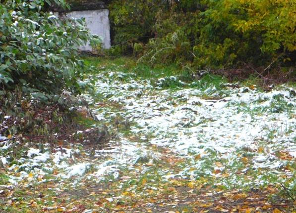 ������ ���� ������ ��� � ����� - ��� ��� ��������� ���...