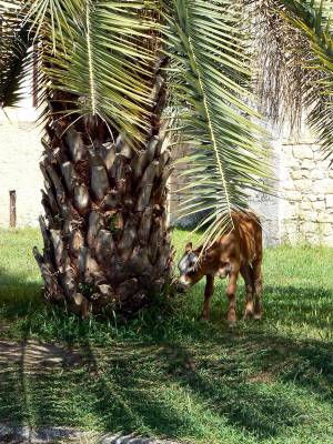 ������� � ������