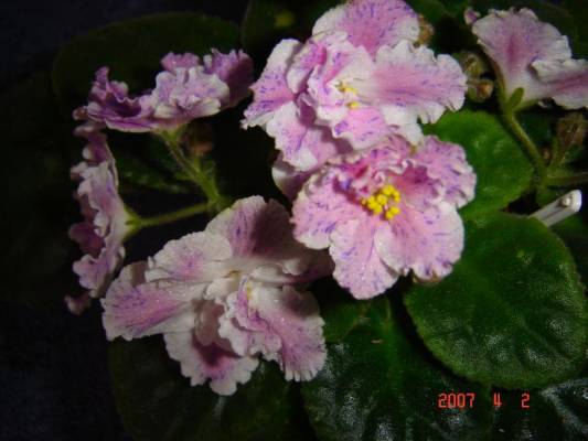  ������� ��������