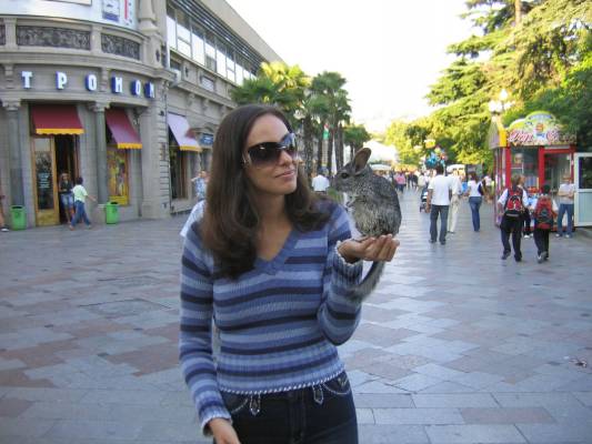 � ���������