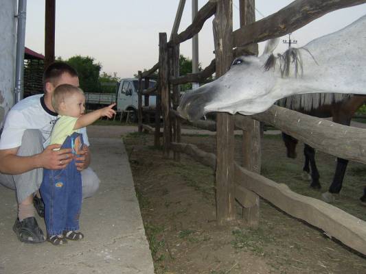 ���������� � ��������)