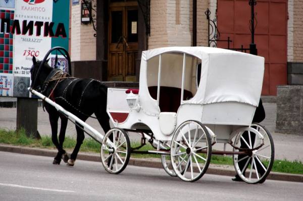 �����-����� ������