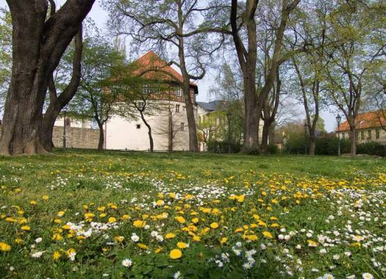 ��������-��������